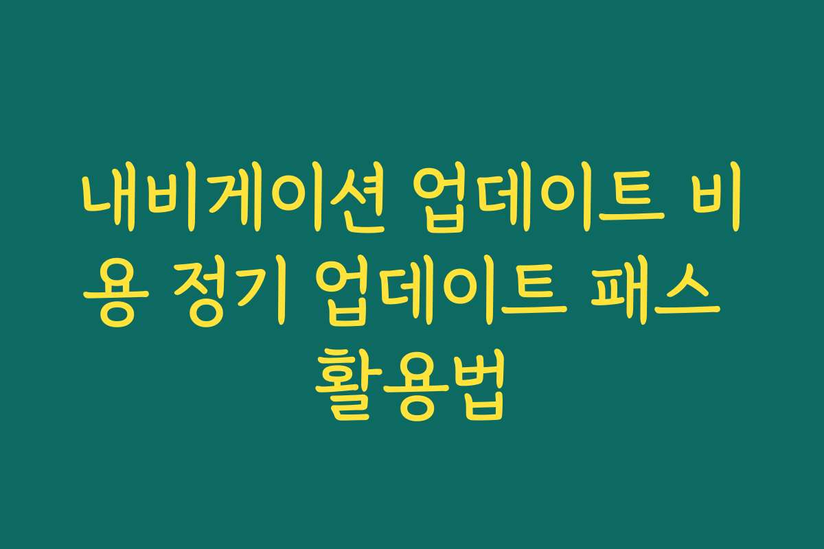 내비게이션 업데이트 비용 정기 업데이트 패스 활용법