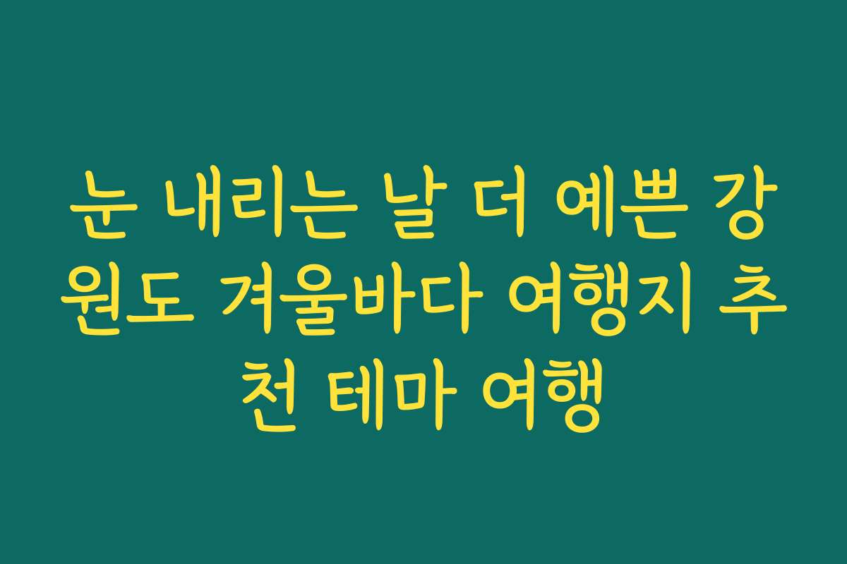 눈 내리는 날 더 예쁜 강원도 겨울바다 여행지 추천 테마 여행