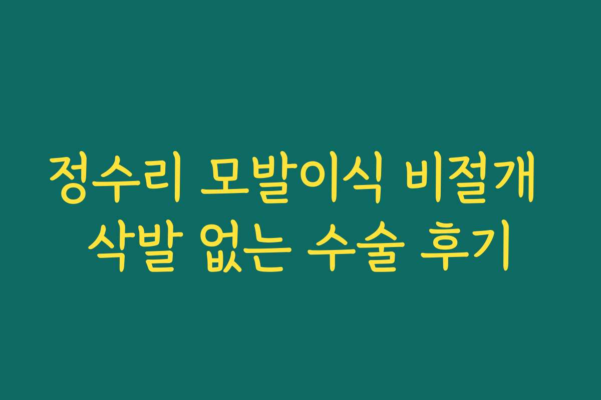 정수리 모발이식 비절개 삭발 없는 수술 후기