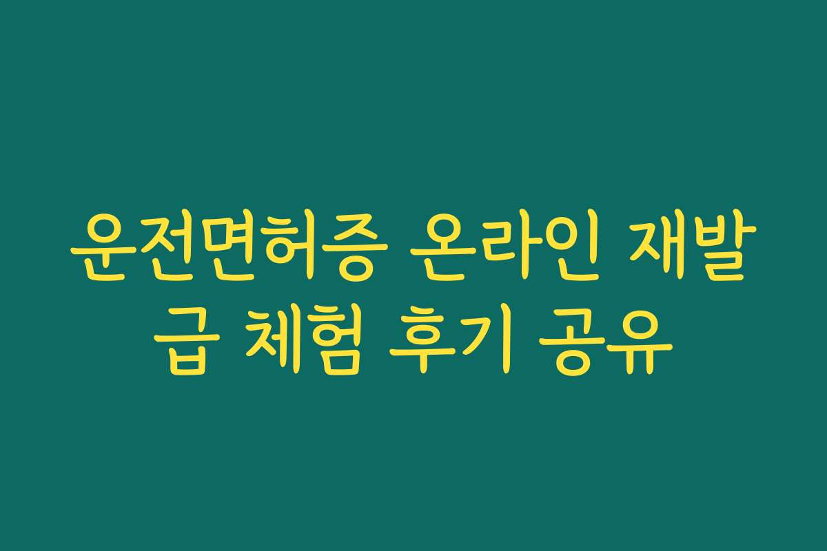 운전면허증 온라인 재발급 체험 후기 공유