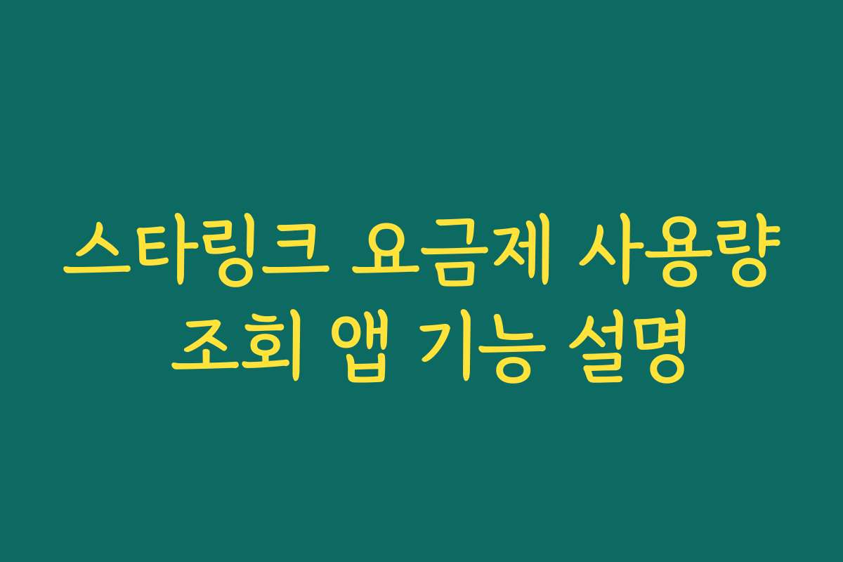 스타링크 요금제 사용량 조회 앱 기능 설명