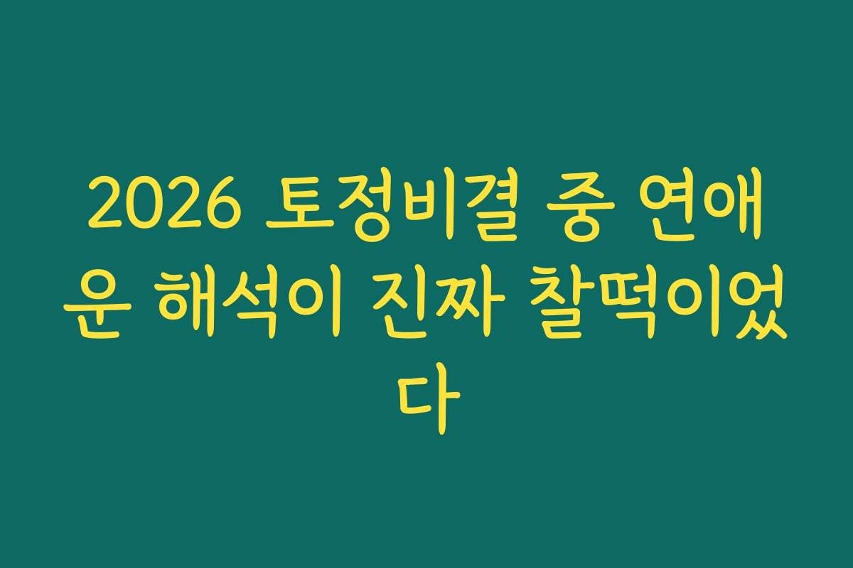 2026 토정비결 중 연애운 해석이 진짜 찰떡이었다