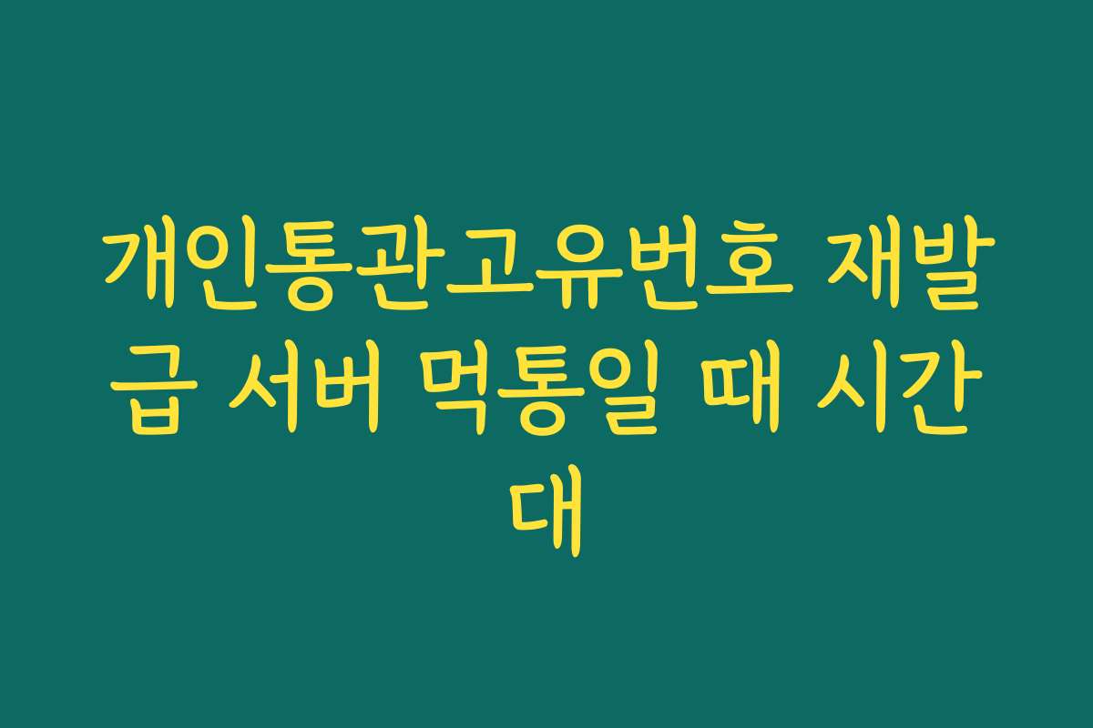 개인통관고유번호 재발급 서버 먹통일 때 시간대