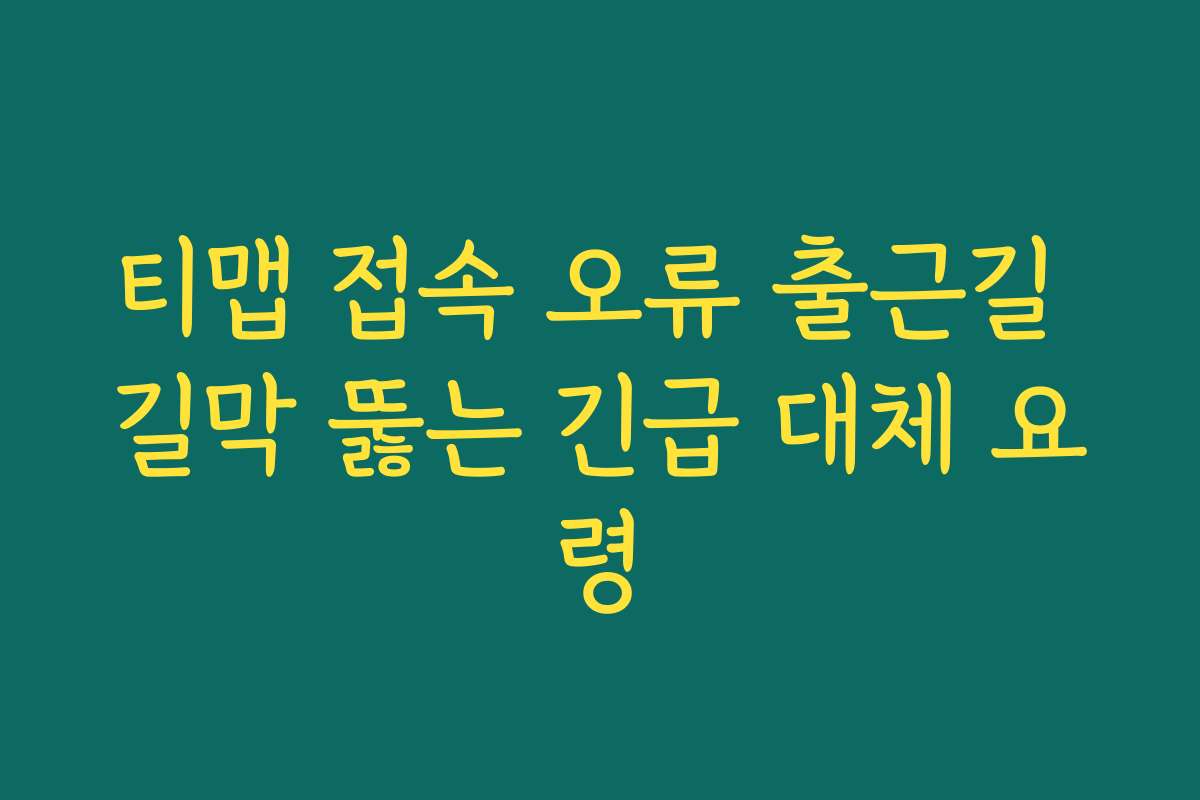 티맵 접속 오류 출근길 길막 뚫는 긴급 대체 요령