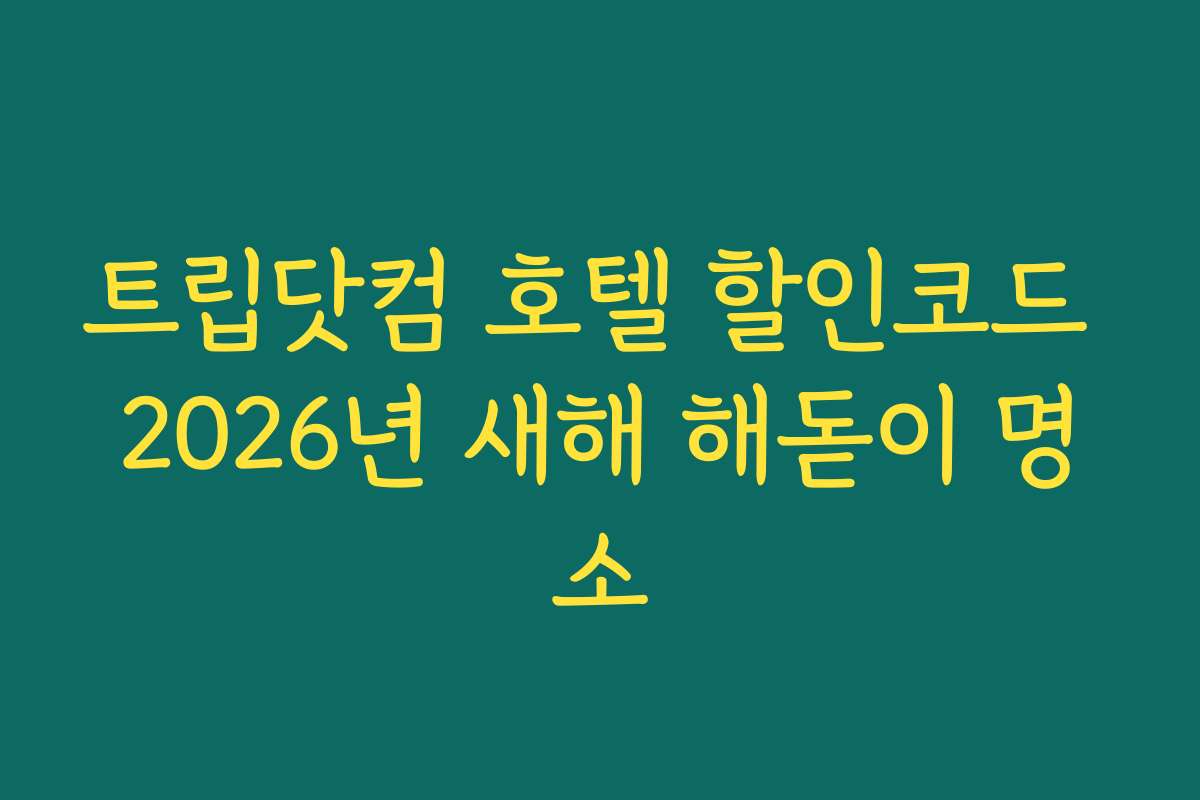 트립닷컴 호텔 할인코드 2026년 새해 해돋이 명소