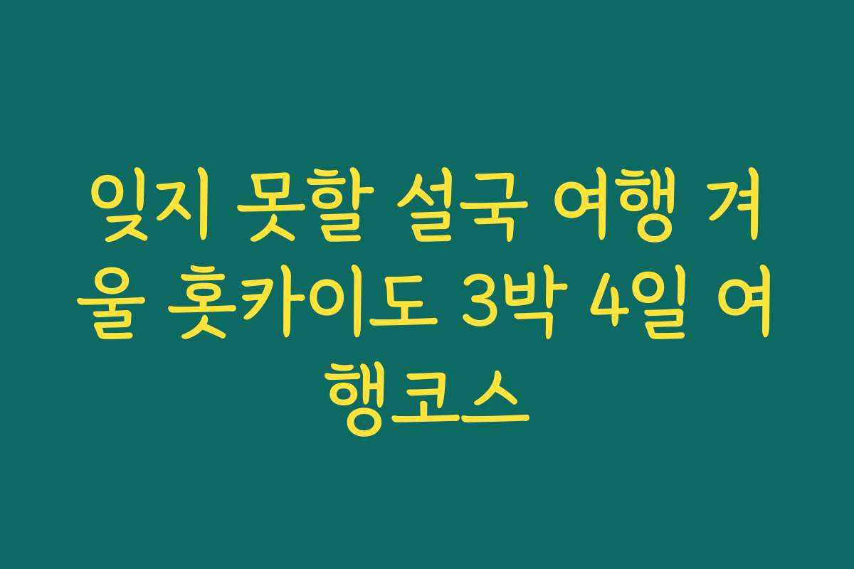 잊지 못할 설국 여행 겨울 홋카이도 3박 4일 여행코스