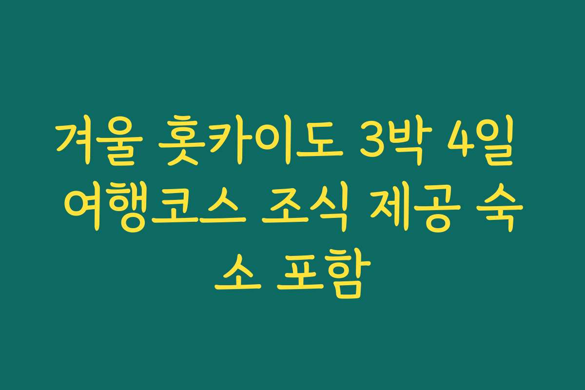 겨울 홋카이도 3박 4일 여행코스 조식 제공 숙소 포함