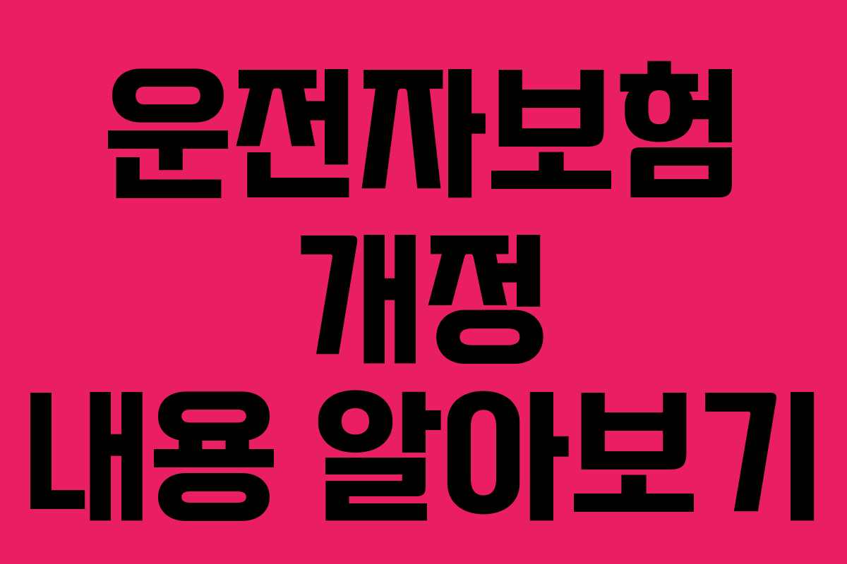 운전자보험 개정 내용 알아보기