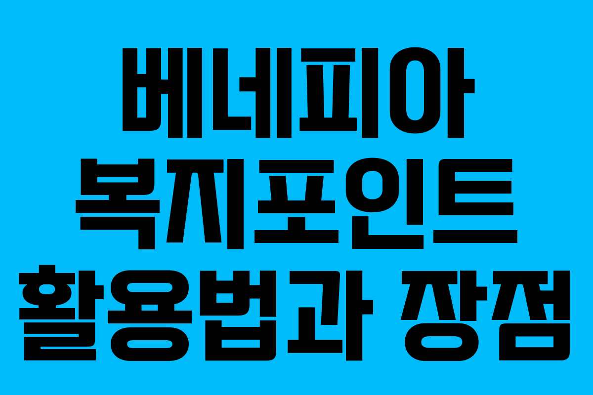 베네피아 복지포인트 활용법과 장점