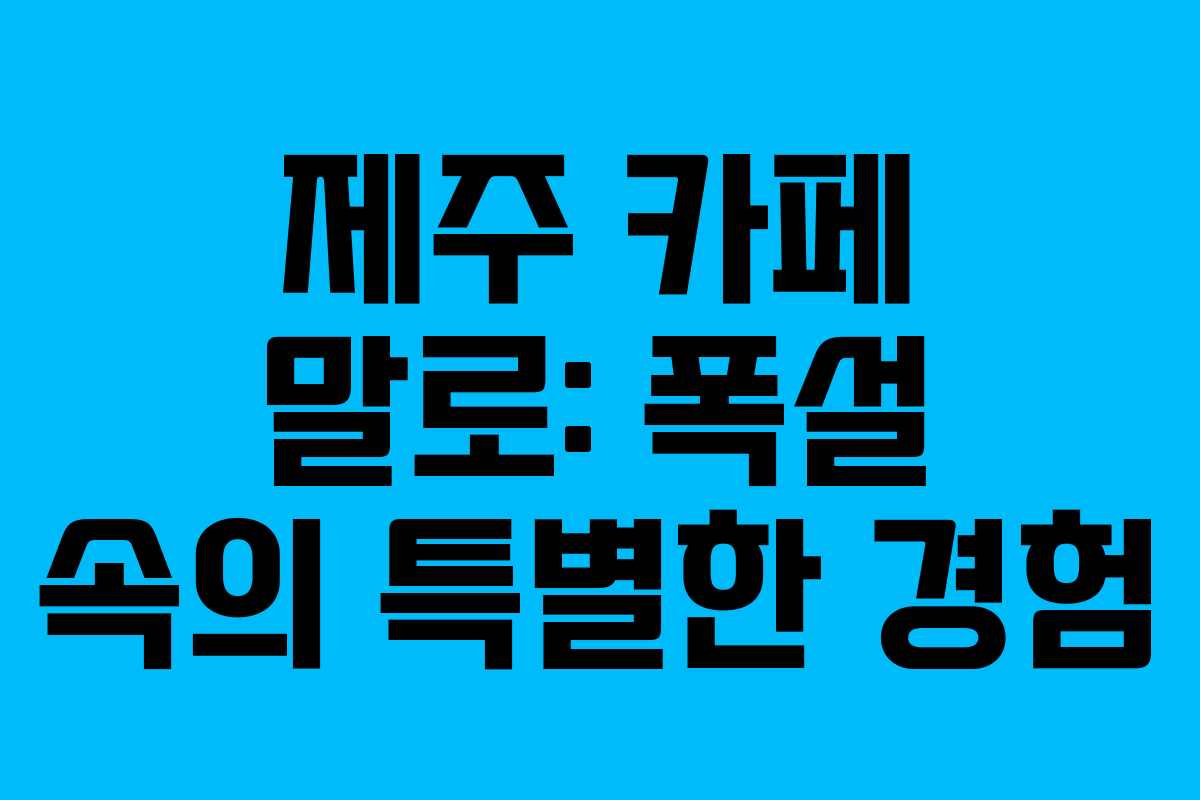 제주 카페 말로: 폭설 속의 특별한 경험