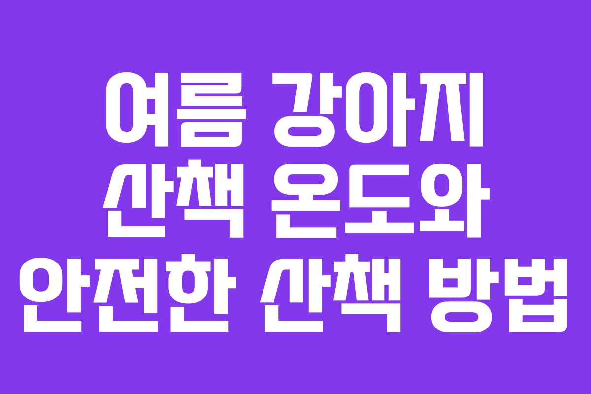 여름 강아지 산책 온도와 안전한 산책 방법