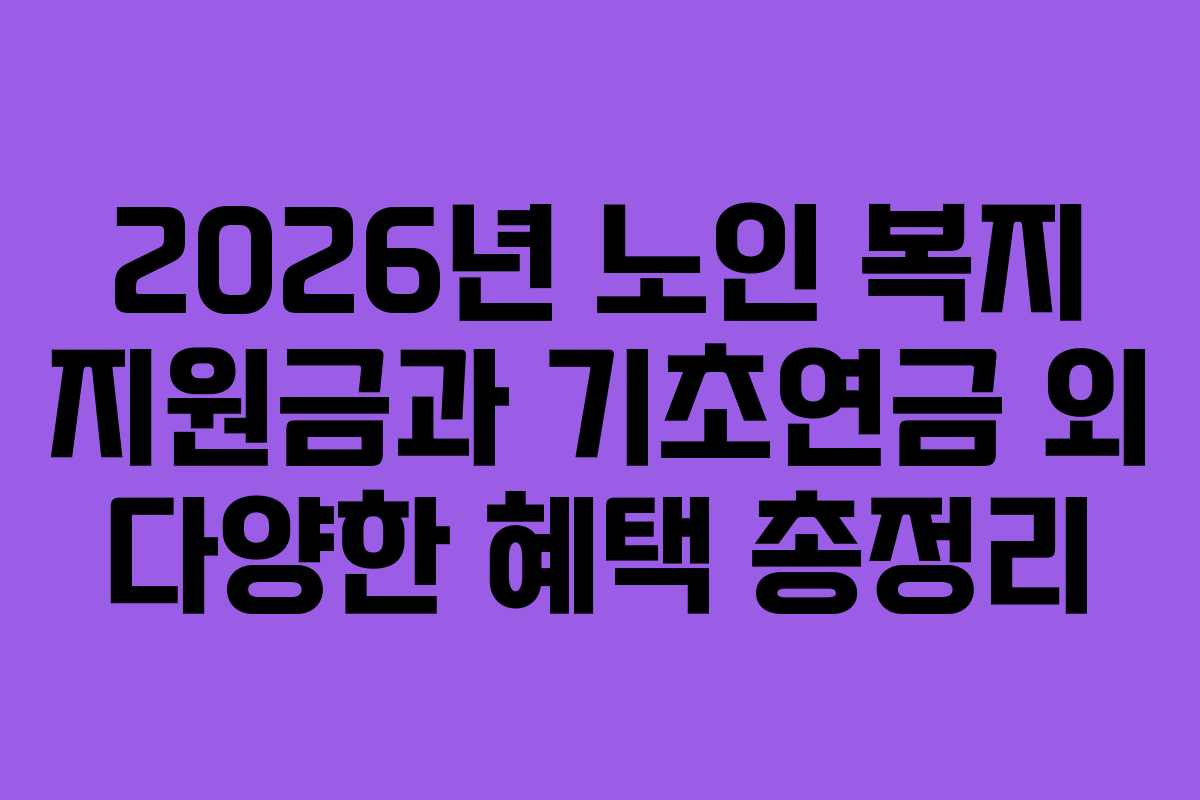2026년 노인 복지 지원금과 기초연금 외 다양한 혜택 총정리