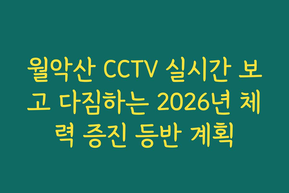 월악산 CCTV 실시간 보고 다짐하는 2026년 체력 증진 등반 계획