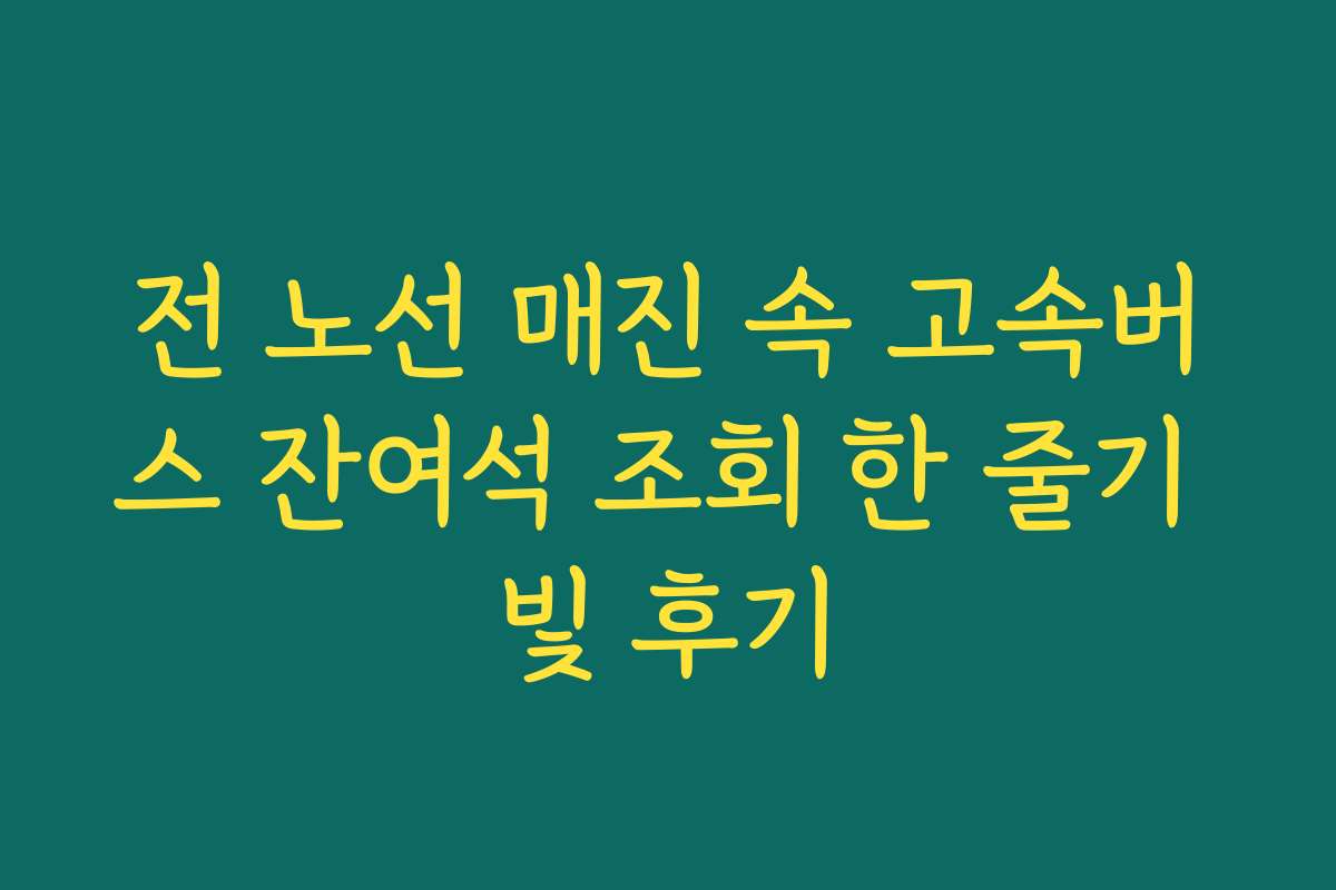 전 노선 매진 속 고속버스 잔여석 조회 한 줄기 빛 후기