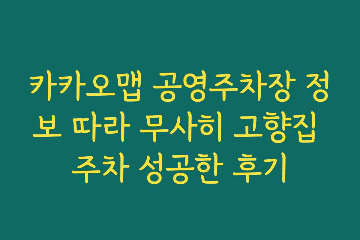 카카오맵 공영주차장 정보 따라 무사히 고향집 주차 성공한 후기