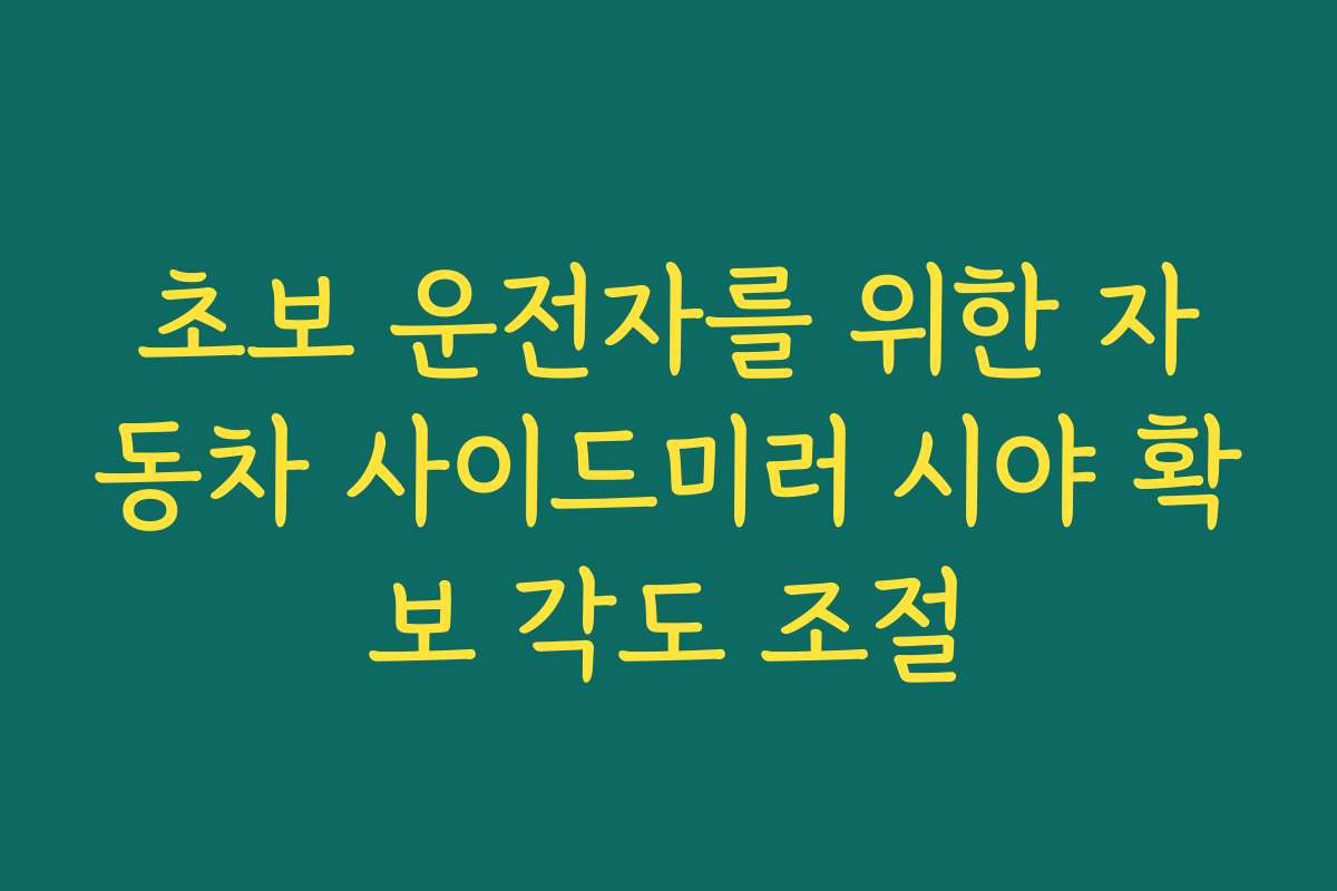 초보 운전자를 위한 자동차 사이드미러 시야 확보 각도 조절