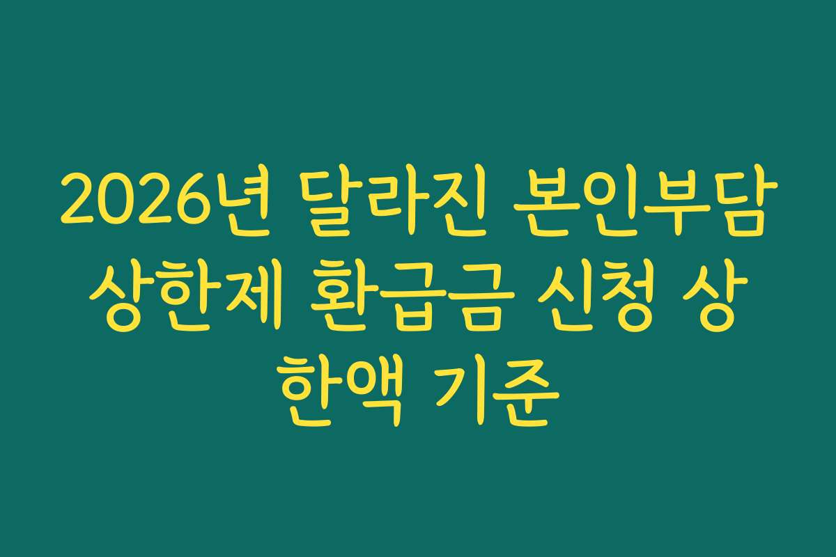 2026년 달라진 본인부담상한제 환급금 신청 상한액 기준