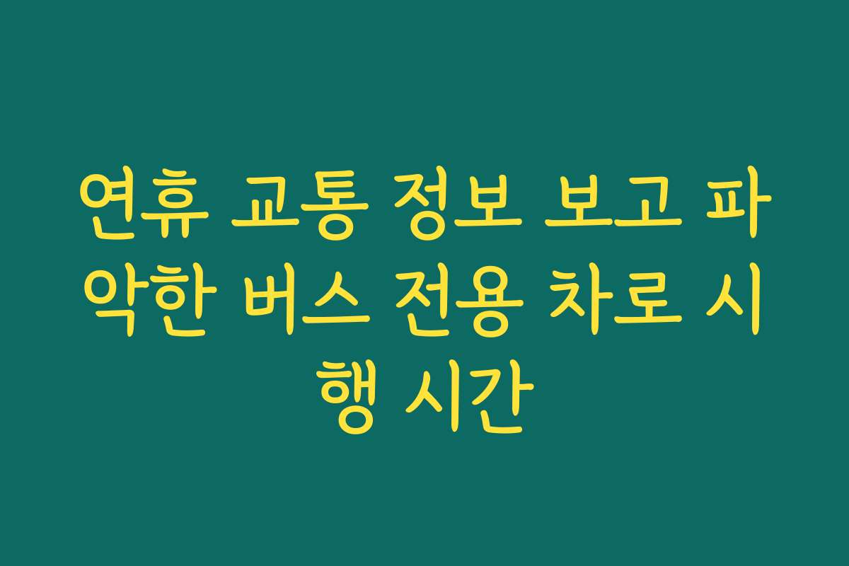 연휴 교통 정보 보고 파악한 버스 전용 차로 시행 시간