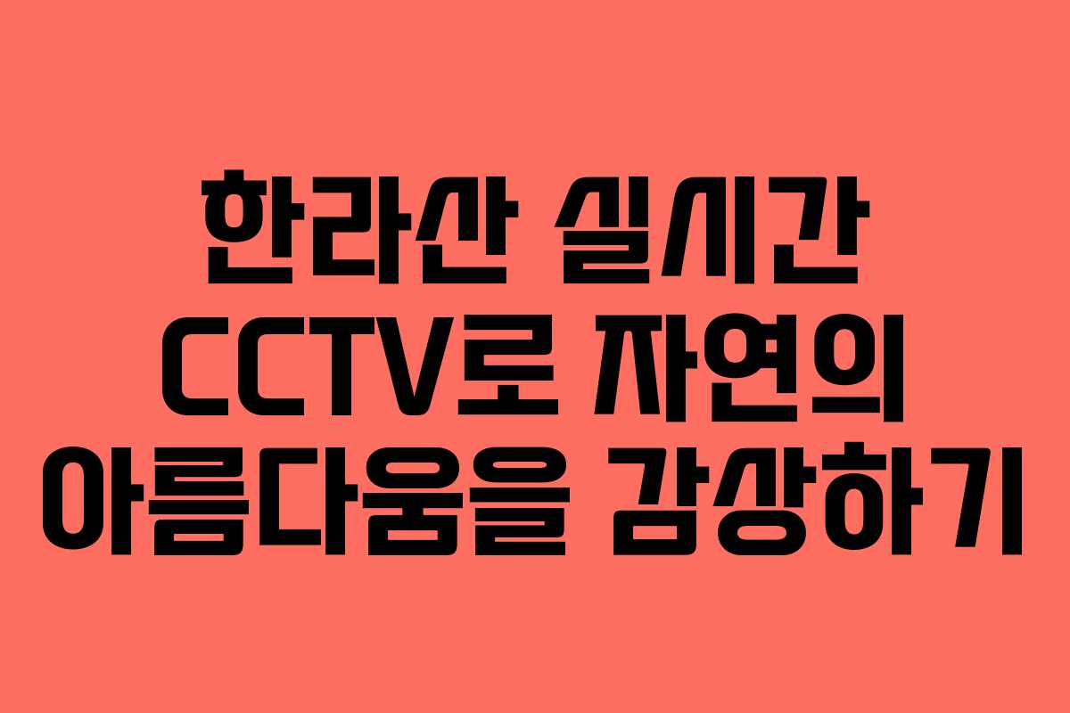 한라산 실시간 CCTV로 자연의 아름다움을 감상하기