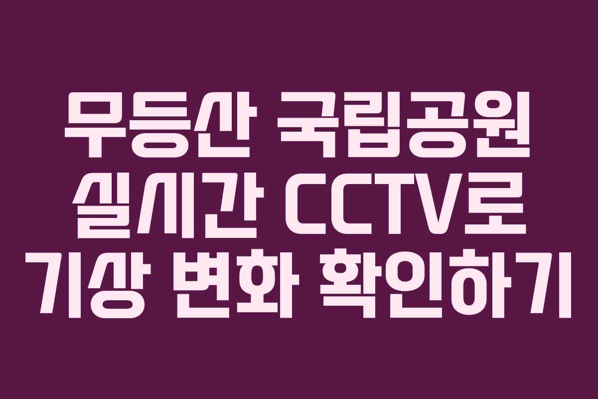 무등산 국립공원 실시간 CCTV로 기상 변화 확인하기