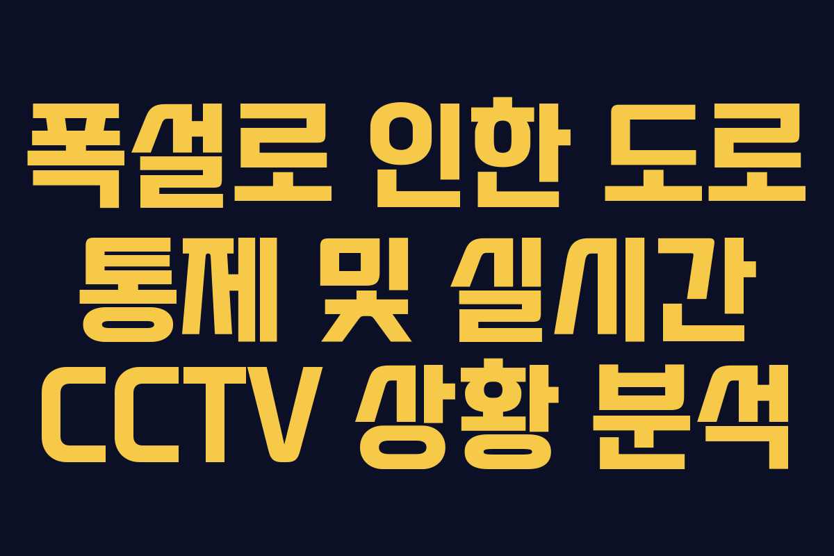 폭설로 인한 도로 통제 및 실시간 CCTV 상황 분석