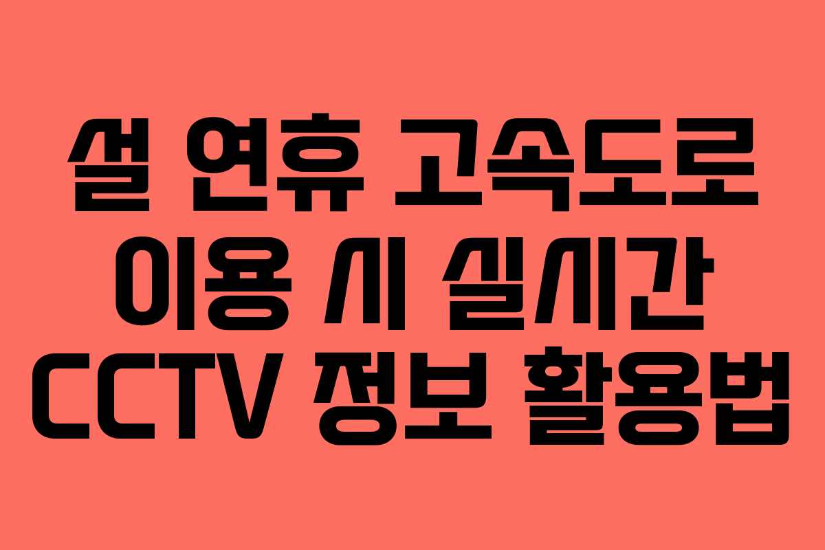 설 연휴 고속도로 이용 시 실시간 CCTV 정보 활용법