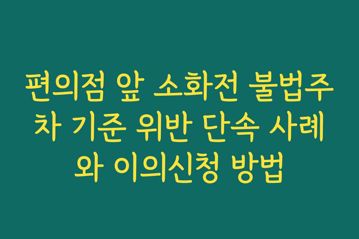 편의점 앞 소화전 불법주차 기준 위반 단속 사례와 이의신청 방법