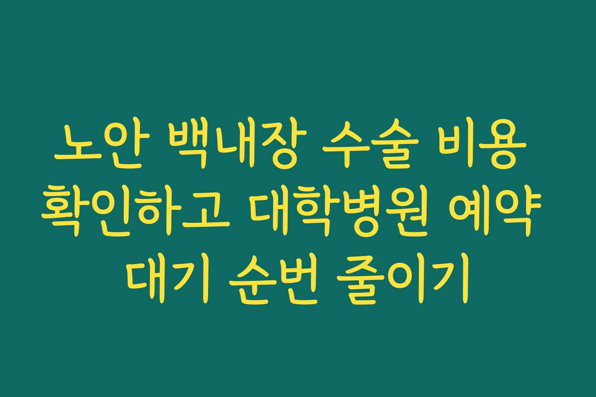 노안 백내장 수술 비용 확인하고 대학병원 예약 대기 순번 줄이기