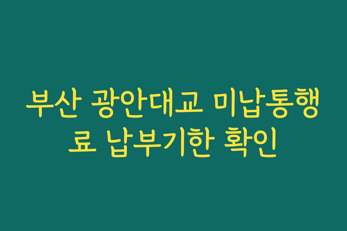 부산 광안대교 미납통행료 납부기한 확인