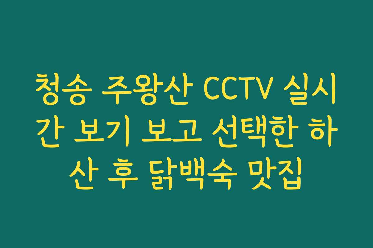 청송 주왕산 CCTV 실시간 보기 보고 선택한 하산 후 닭백숙 맛집