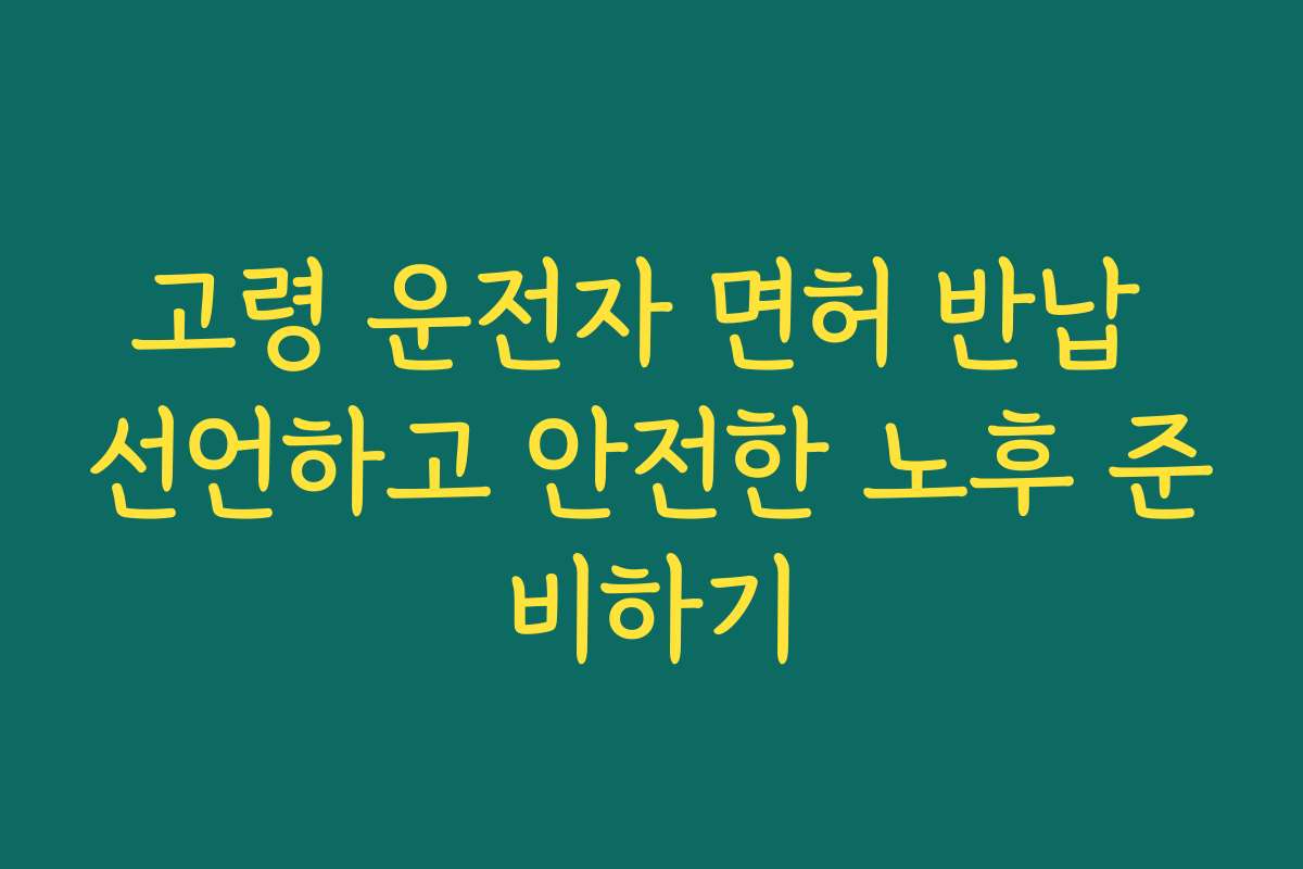 고령 운전자 면허 반납 선언하고 안전한 노후 준비하기