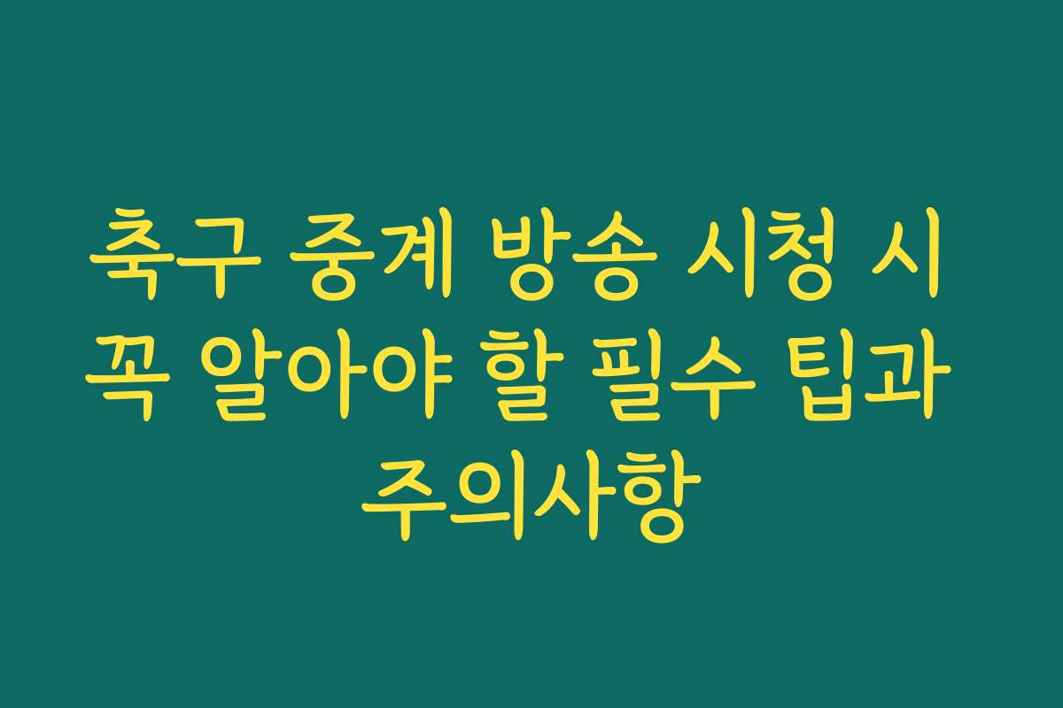 축구 중계 방송 시청 시 꼭 알아야 할 필수 팁과 주의사항