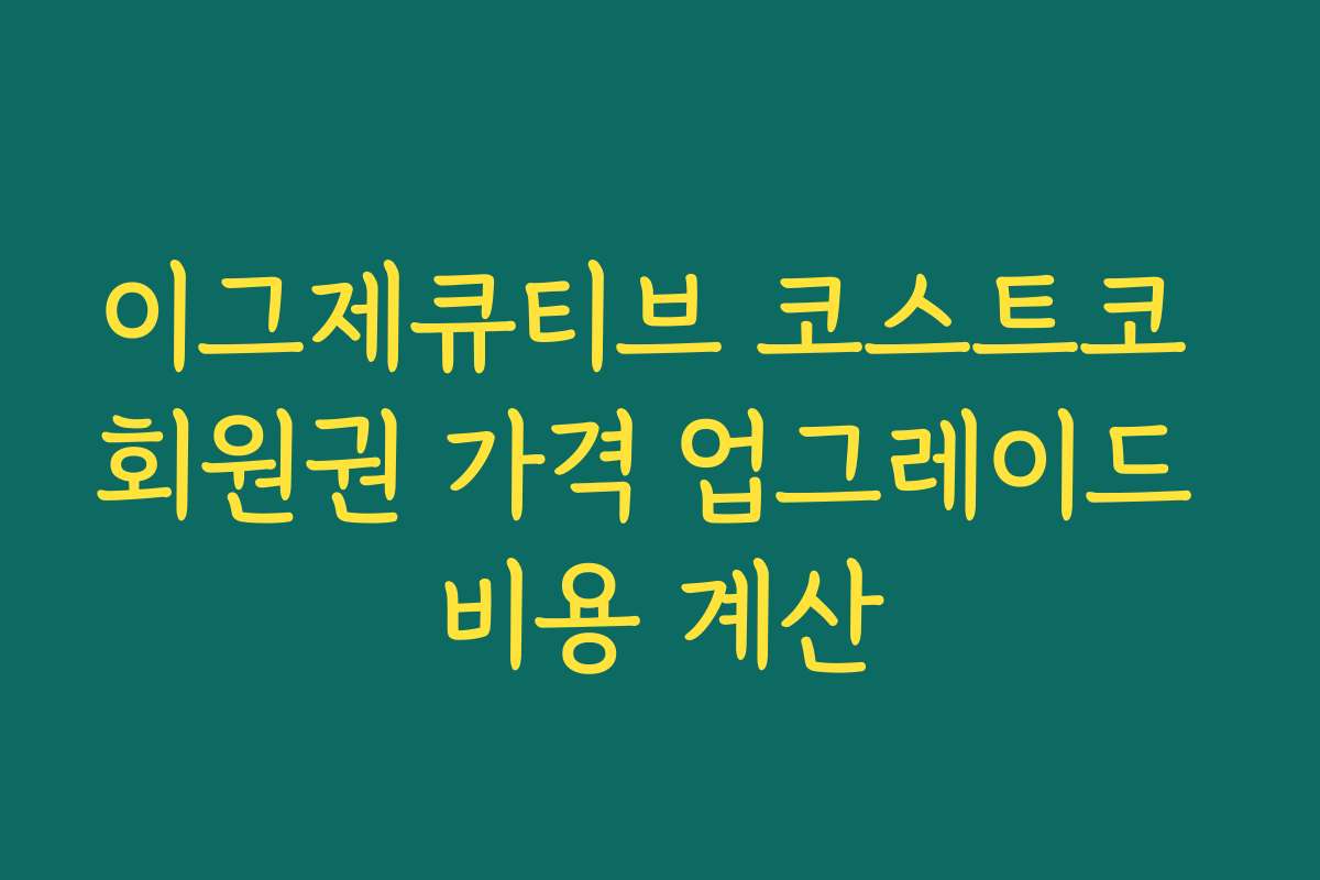 이그제큐티브 코스트코 회원권 가격 업그레이드 비용 계산