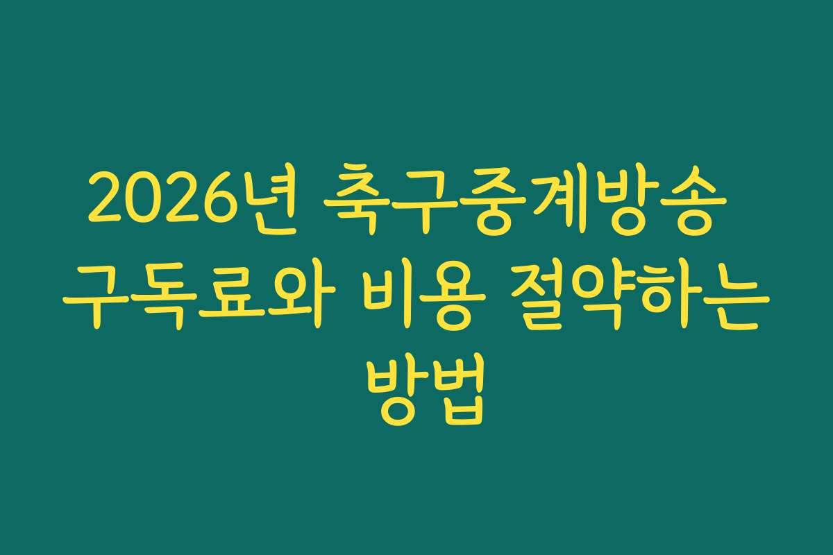 2026년 축구중계방송 구독료와 비용 절약하는 방법