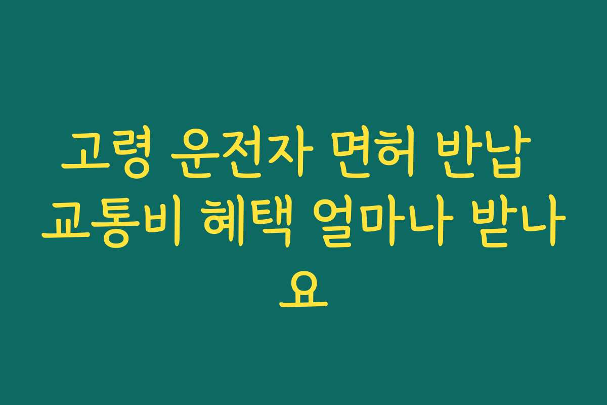 고령 운전자 면허 반납 교통비 혜택 얼마나 받나요