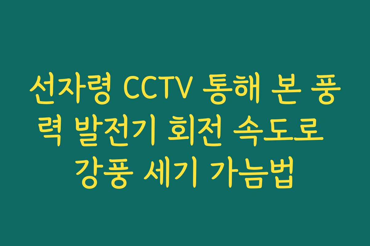선자령 CCTV 통해 본 풍력 발전기 회전 속도로 강풍 세기 가늠법