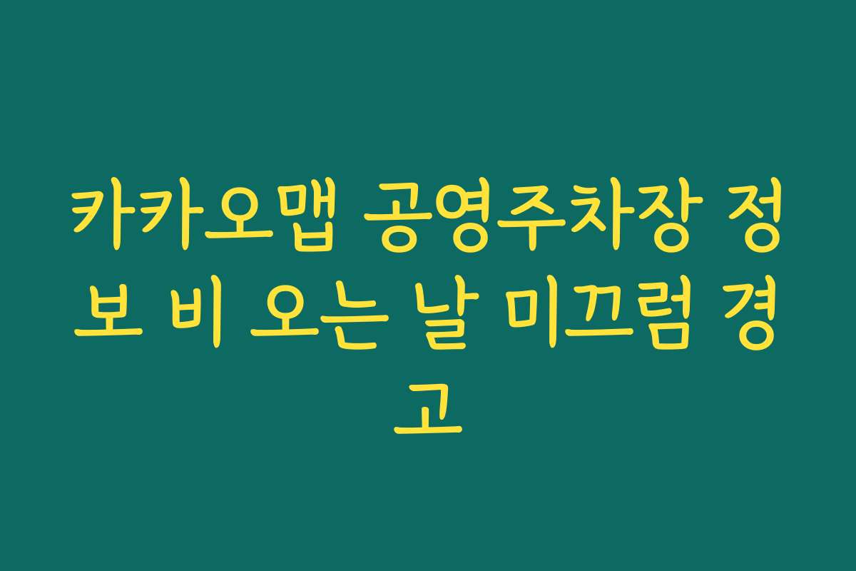 카카오맵 공영주차장 정보 비 오는 날 미끄럼 경고