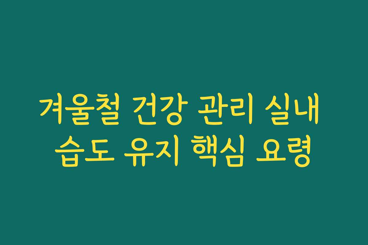 겨울철 건강 관리 실내 습도 유지 핵심 요령