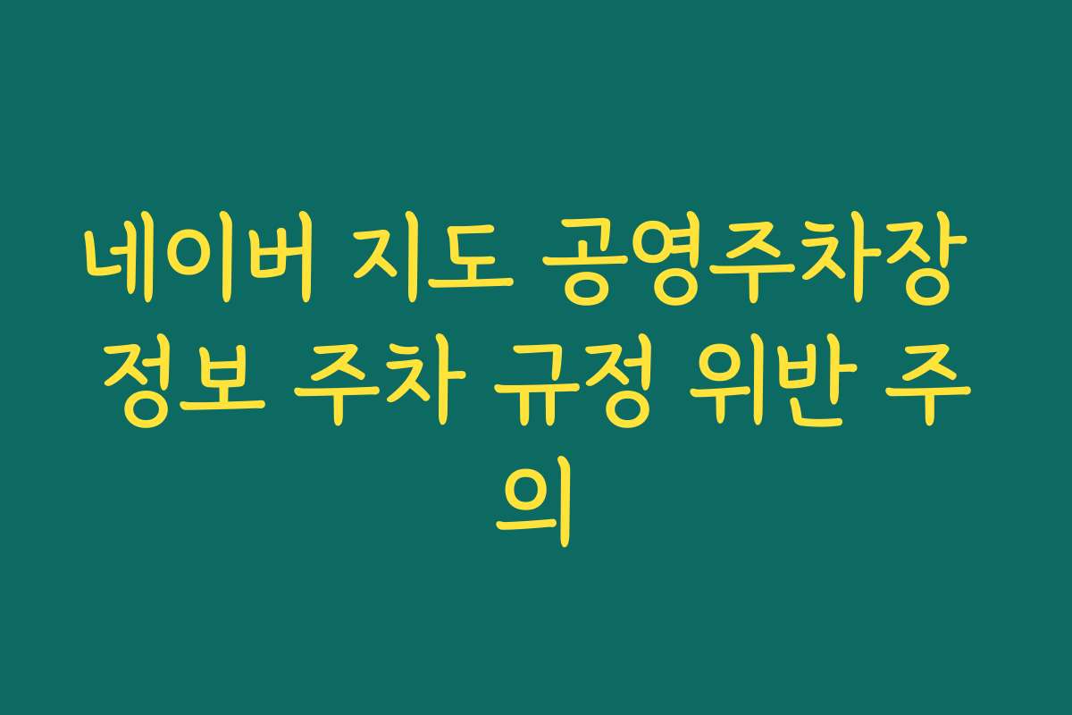 네이버 지도 공영주차장 정보 주차 규정 위반 주의