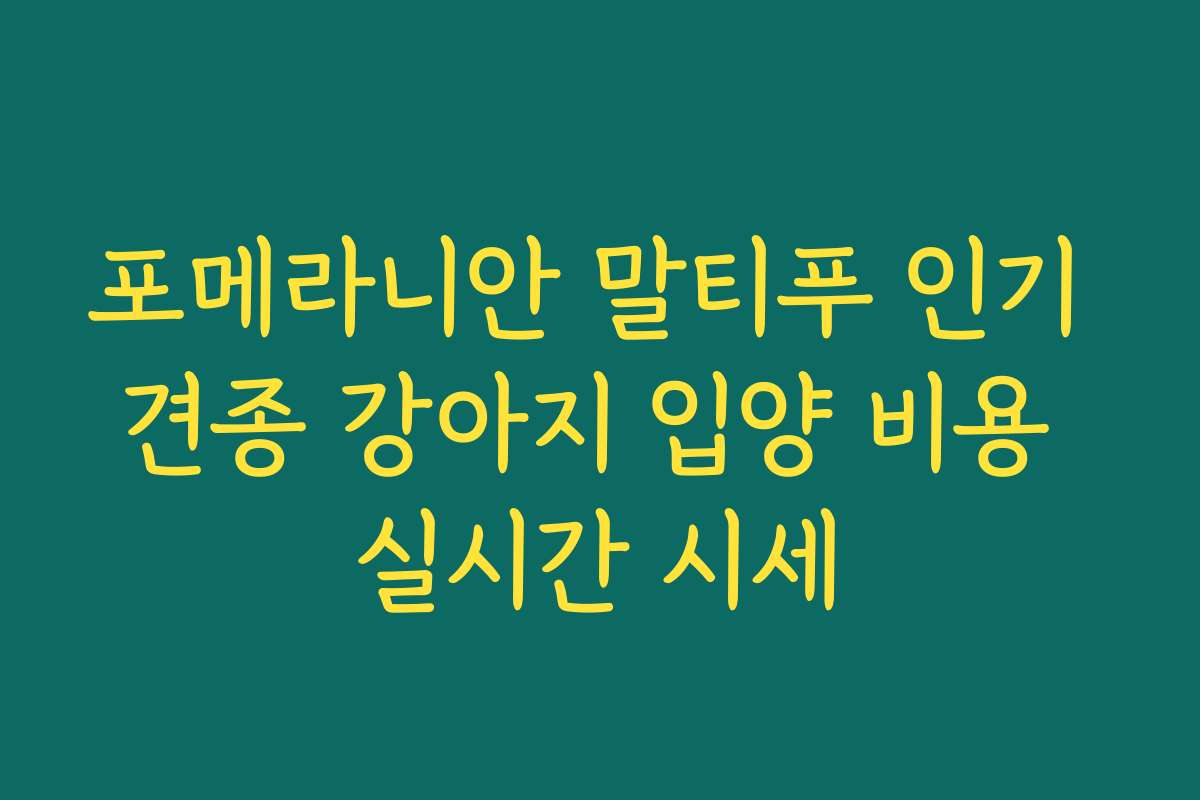 포메라니안 말티푸 인기 견종 강아지 입양 비용 실시간 시세