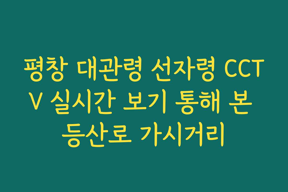 평창 대관령 선자령 CCTV 실시간 보기 통해 본 등산로 가시거리