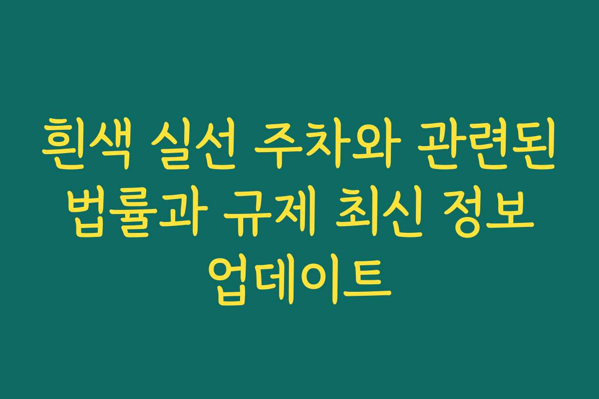 흰색 실선 주차와 관련된 법률과 규제 최신 정보 업데이트
