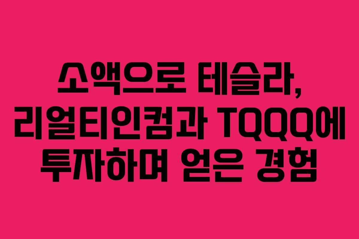 소액으로 테슬라, 리얼티인컴과 TQQQ에 투자하며 얻은 경험
