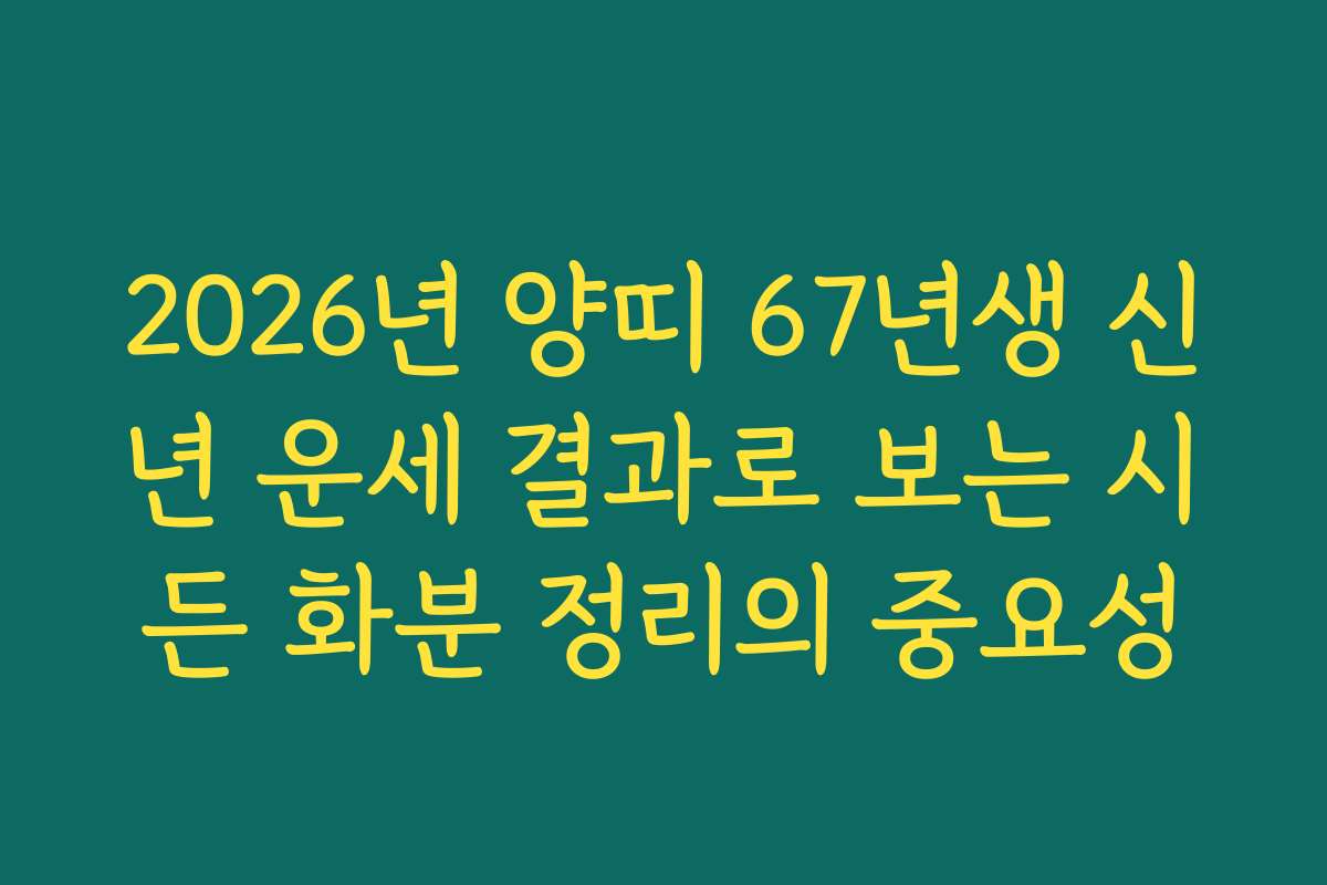 2026년 양띠 67년생 신년 운세 결과로 보는 시든 화분 정리의 중요성