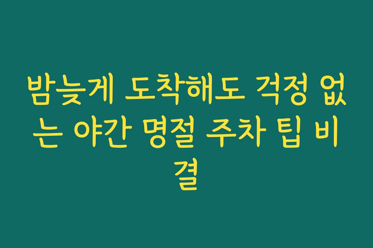 밤늦게 도착해도 걱정 없는 야간 명절 주차 팁 비결