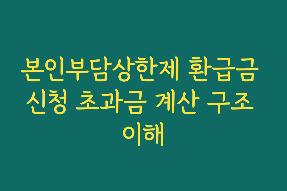 본인부담상한제 환급금 신청 초과금 계산 구조 이해