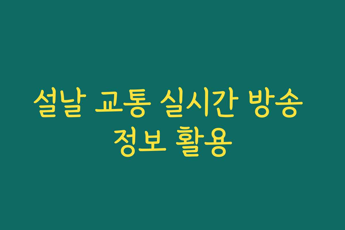 설날 교통 실시간 방송 정보 활용