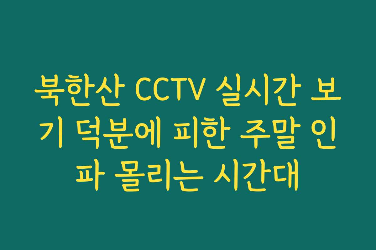 북한산 CCTV 실시간 보기 덕분에 피한 주말 인파 몰리는 시간대