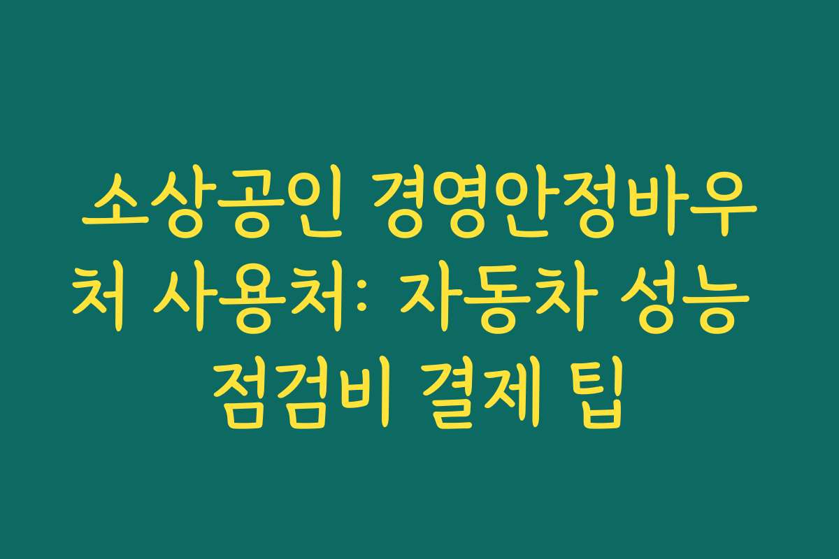 소상공인 경영안정바우처 사용처: 자동차 성능 점검비 결제 팁