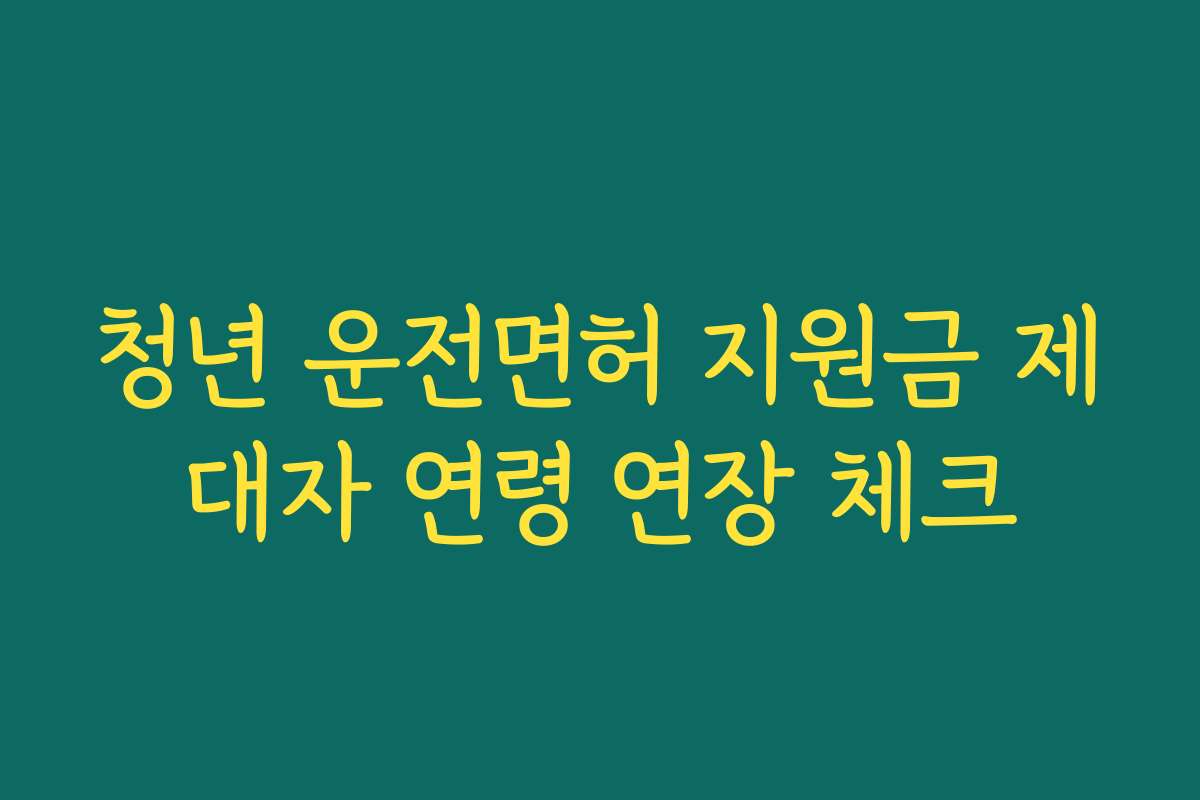 청년 운전면허 지원금 제대자 연령 연장 체크
